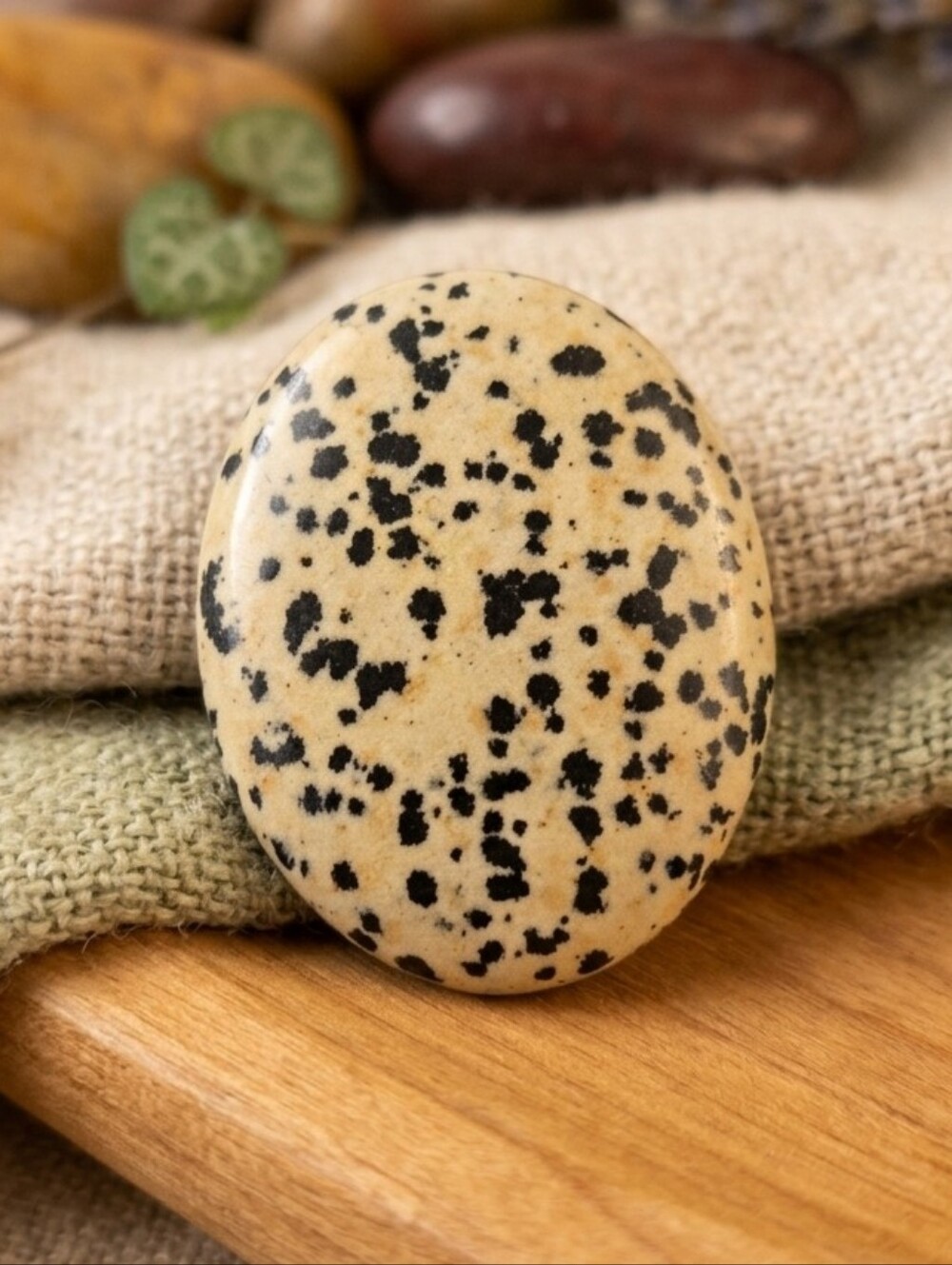 Polished Dalmatian Jasper Palm Stone - Crystal